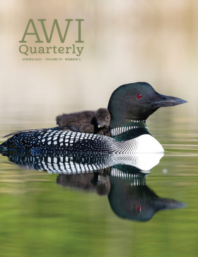 Spring2023 AWI Quarterly Cover-Photo by Donald M.Jones/Mnden Pictures