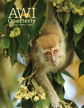 Winter2022 AWI Quarterly Cover-Photo by Jamie Lamb
