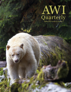 Spring 2012 Quarterly cover - photo by Eric Sambol