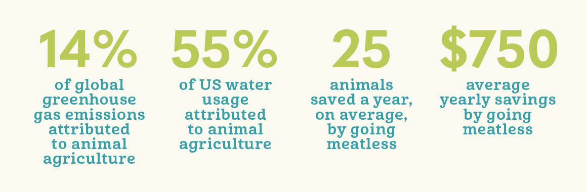 animal agriculture statistics