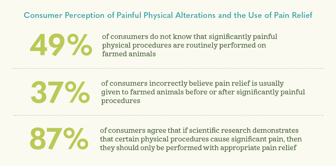 Consumer Perception of Painful Physical Alterations and the Use of Pain Relief