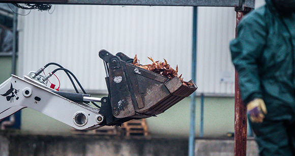 dead birds being hauled away - photo by We Animals