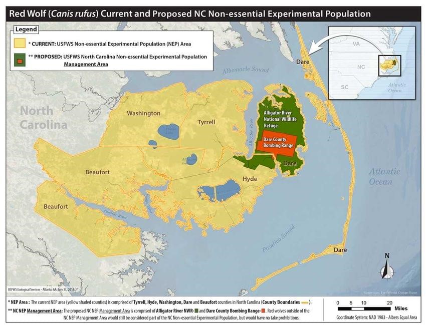 Red wolf current and proposed non-essential experimental population. Map by Jose Barrios, USFWS.