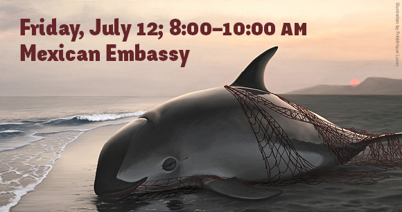 AWI’s Annual Rally to Save the Vaquita - Illustration by Frédérique Lucas AWI’s Annual Rally to Save the Vaquita - Illustration by Frédérique Lucas