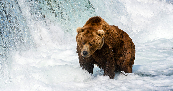 Photo from Flickr by Christoph Strassler Photo from Flickr by Christoph Strassler