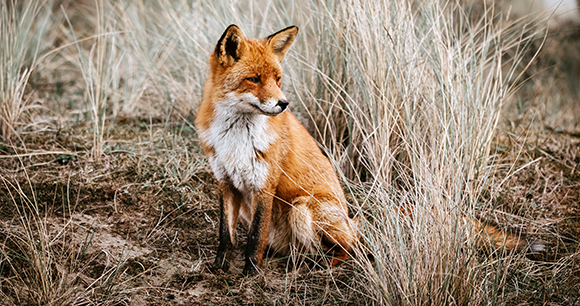 Photo by Sander Wehkamp Photo by Sander Wehkamp