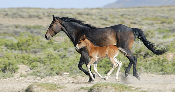 Photo by Skibreck Photo by Skibreck