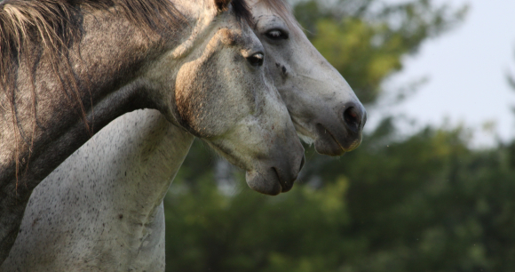 Photo from Flickr by Britney