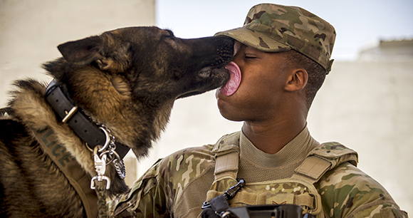 do military dog handlers keep their dogs