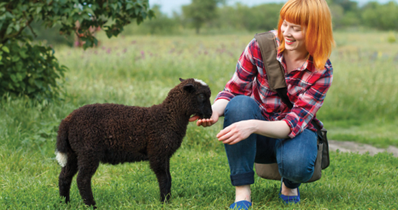 Animal Welfare Institute Scholarship Animal Welfare Institute Scholarship