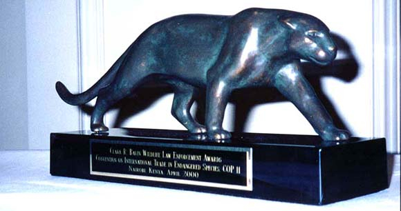 2000 Bavin Award