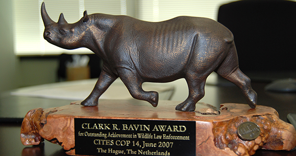 photo by AWI 2007 Bavin Award