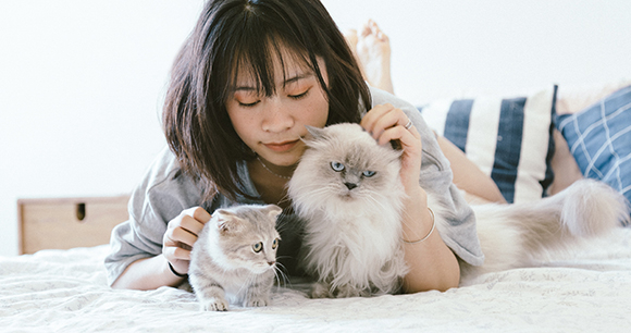 photo by TranMauTriTam photo by TranMauTriTam