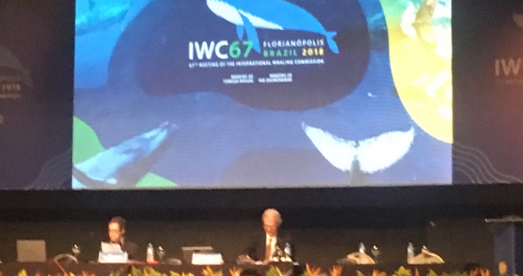 2018 IWC 67 Meeting in Florianopolis, Brazil