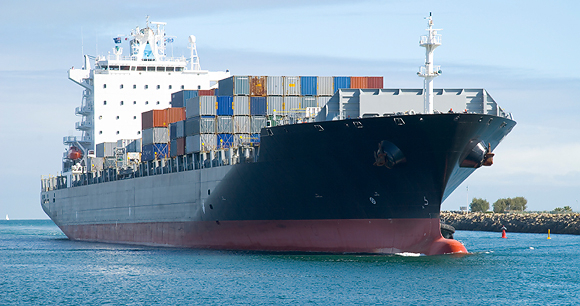 Free trade - Photo by AWI Free trade - Photo by AWI