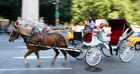 NYC launches new campaign to outlaw horse-drawn carriages as inhumane