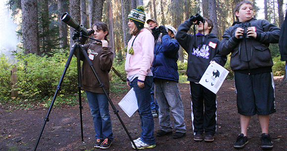 photo by Willamette National Forest photo by Willamette National Forest
