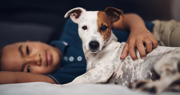 Animals and Family Violence Animals and Family Violence