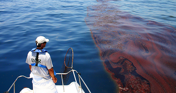 land animals with polluted water