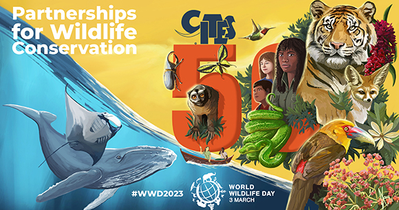 World Wildlife Day 2023 official design by Xavi Reñé