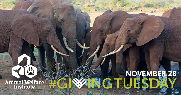 GivingTuesday - Photo by Bill Clark GivingTuesday - Photo by Bill Clark