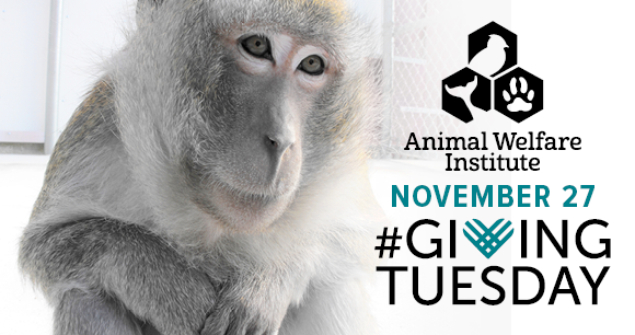 Photo from OPR Coastal Primate Sanctuary Photo from OPR Coastal Primate Sanctuary