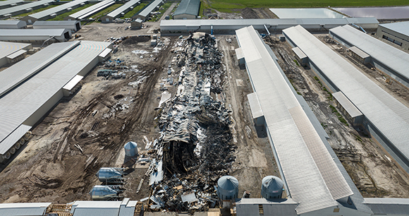 Enormous chicken barn burned to the ground - Photo We Animals Media enormous chicken barn burned to the ground