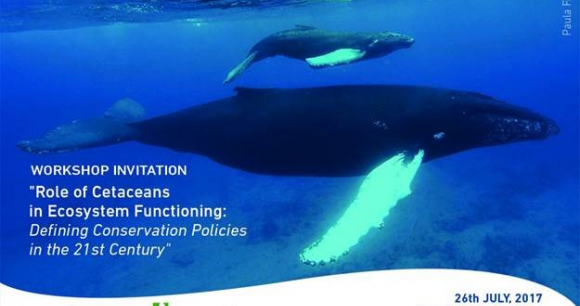 International Congress of the Society for Conservation Biology (ICCB 2017) International Congress of the Society for Conservation Biology (ICCB 2017)