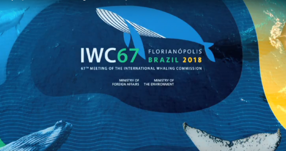 IWC 67 Logo