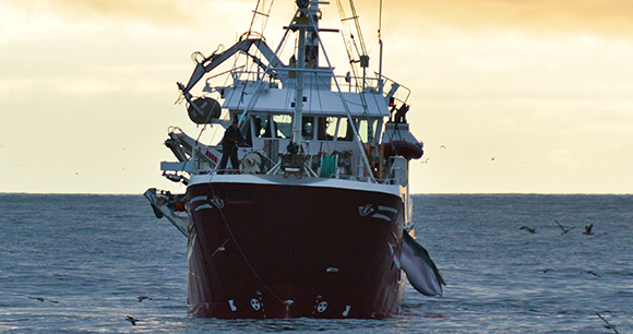 Photo by N. Seeliger Norwegian whaling vessel