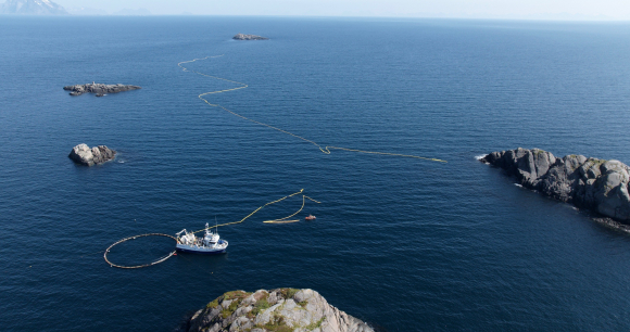 Drone footage of the 2022 test site provided to NOAH, AWI, and WDC. Drone footage of the 2022 test site provided to NOAH, AWI, and WDC.