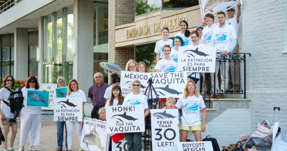 Vaquita Rally 2018 Vaquita Rally 2018