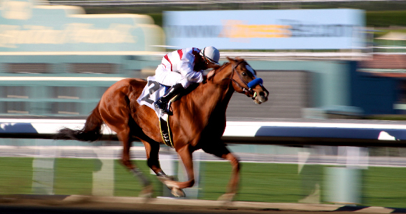 Photo by Underactive Photo by Underactive