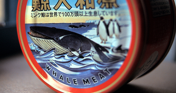 canned whale meat - photo by EIA canned whale meat - photo by EIA