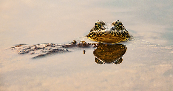 Photo from Flickr by Issac Chellman Photo from Flickr by Issac Chellman