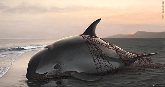 An illustration of a vaquita entangled in a net.