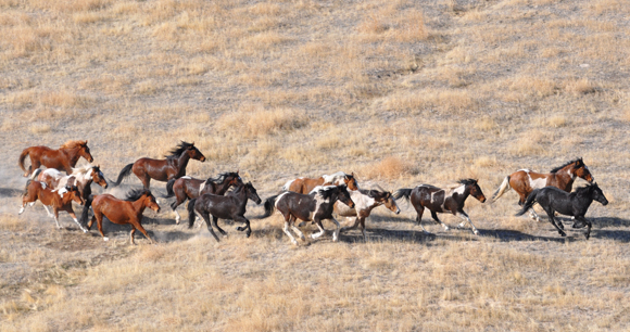 Photo from Flickr by BLM Photo from Flickr by BLM