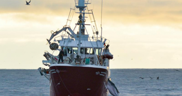 Norwegian Whaling Vessel - Photo by N. Seeliger