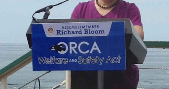 Landmark Legislation Introduced in California to Ban Orca Captivity