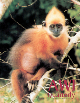 Fall 2001 AWI Quarterly Cover - Photo by Tilo Nadler Fall 2001 AWI Quarterly Cover - Photo by Tilo Nadler