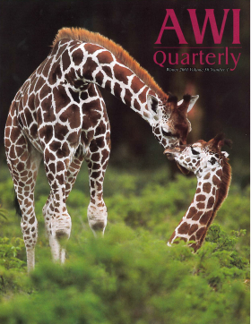 Winter 2001 AWi Quarterly Cover - Photo by Mark Thomas Winter 2001 AWi Quarterly Cover - Photo by Mark Thomas