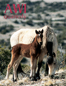 Winter 2002 AWi Quarterly Cover Winter 2002 AWi Quarterly Cover