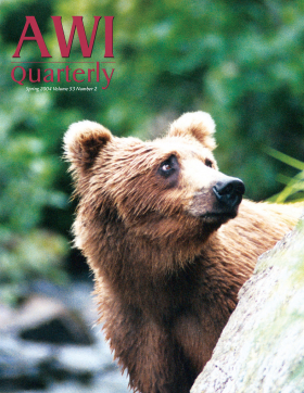 Spring 2004 AWI Quarterly Cover - Photo by Cathy Liss Spring 2004 AWI Quarterly Cover - Photo by Cathy Liss