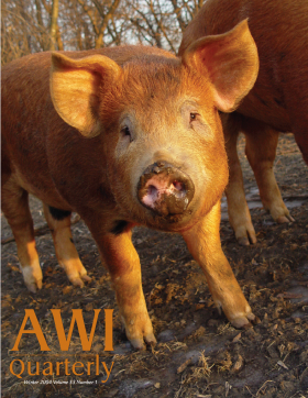 Winter 2004 AWI Quarterly Cover - photo by Marlene Halverson/AWI Winter 2004 AWI Quarterly Cover - photo by Marlene Halverson/AWI