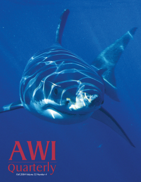 Fall 2004 AWi Quarterly Cover Fall 2004 AWi Quarterly Cover