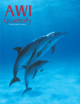 Fall 2005 AWI Quarterly Cover - Jeff Pantukhoff Fall 2005 AWI Quarterly Cover - Jeff Pantukhoff