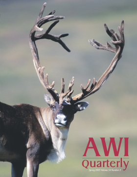 Spring 2005 AWI Quarterly Cover - Photo by Len Rue Jr. Spring 2005 AWI Quarterly Cover - Photo by Len Rue Jr.