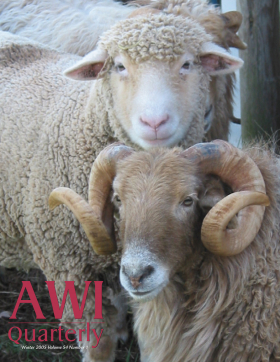 Winter 2005 AWi Quarterly Cover - Photo by AWI’s Jen Rinick Winter 2005 AWi Quarterly Cover - Photo by AWI’s Jen Rinick