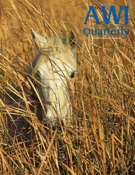 Fall 2006 AWI Quarterly Cover - Photo donated by Bob Langrish Fall 2006 AWI Quarterly Cover - Photo donated by Bob Langrish