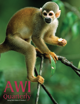 Spring 2006 AWI Quarterly Cover - Photo by Sa Team/Foto Natura/Minden Pictures Spring 2006 AWI Quarterly Cover - Photo by Sa Team/Foto Natura/Minden Pictures
